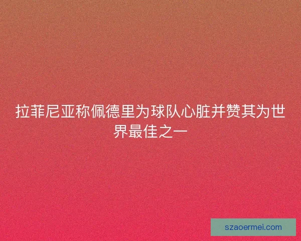 拉菲尼亚称佩德里为球队心脏并赞其为世界最佳之一